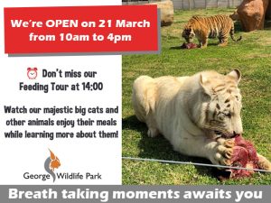 George Wildlife Park – Open on Human Rights Day!