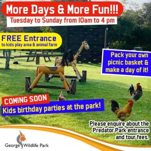 More Family Fun at the George Wildlife Park