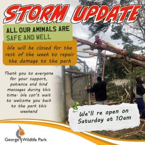 Storm Update from George Wildlife Park