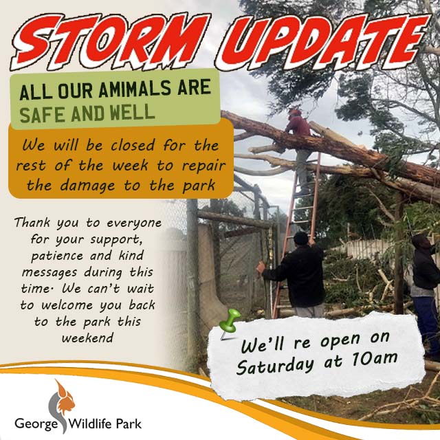 Storm Update from George Wildlife Park