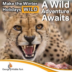 Make The Winter Holidays Wild at George Wildlife Park