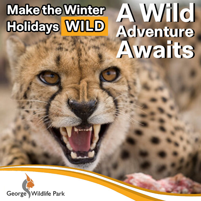 Make The Winter Holidays Wild at George Wildlife Park
