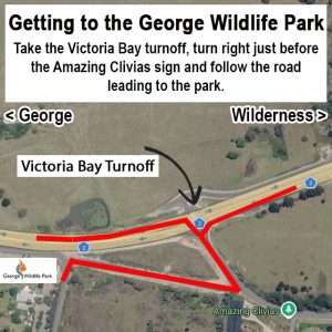 Getting to the George Wildlife Park
