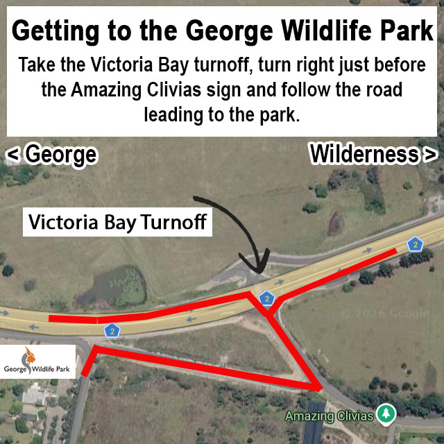 Getting to the George Wildlife Park