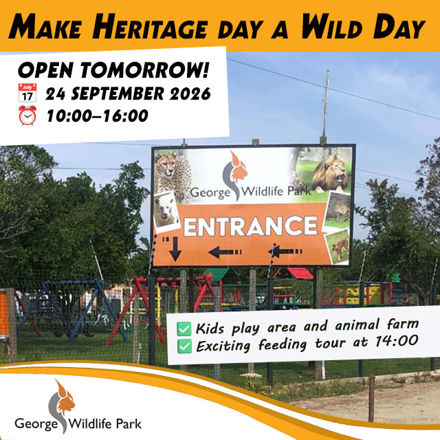 Heritage Day Family Fun in George